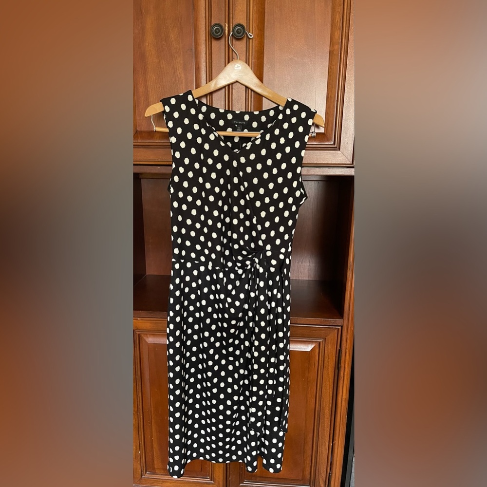 Talbots Polka Dots Sleeveless V-Neck Tie Waist Dress